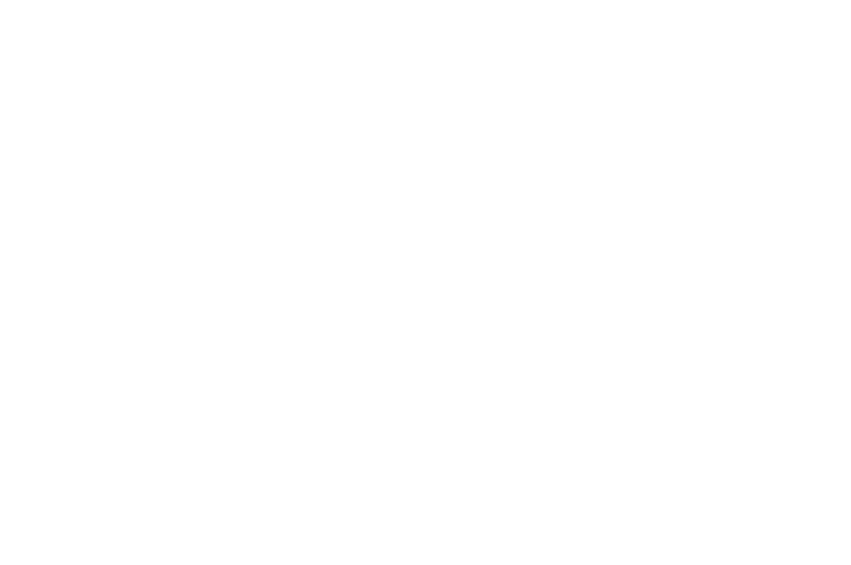 OFFICIAL SELECTION - ASOLO ART FILM FESTIVAL - 2015