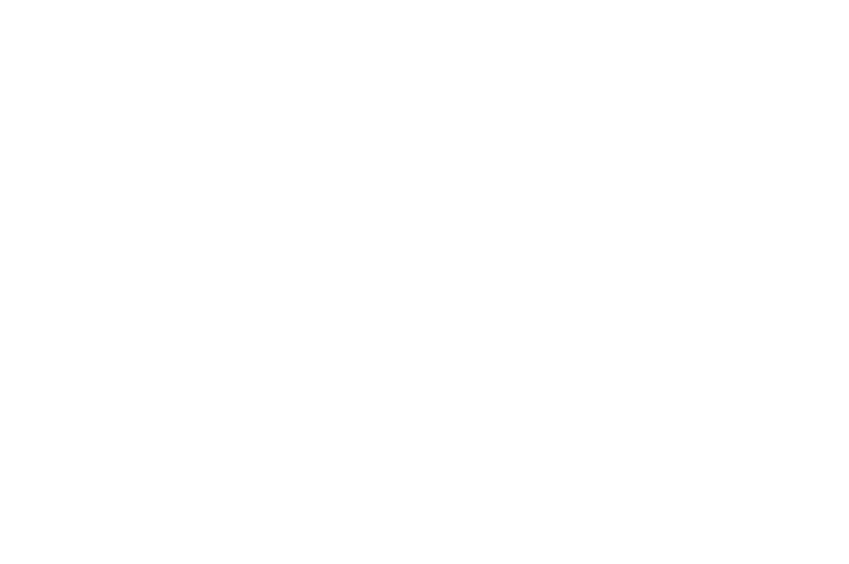 OFFICIAL SELECTION - Metropolis Film Festival - 2022